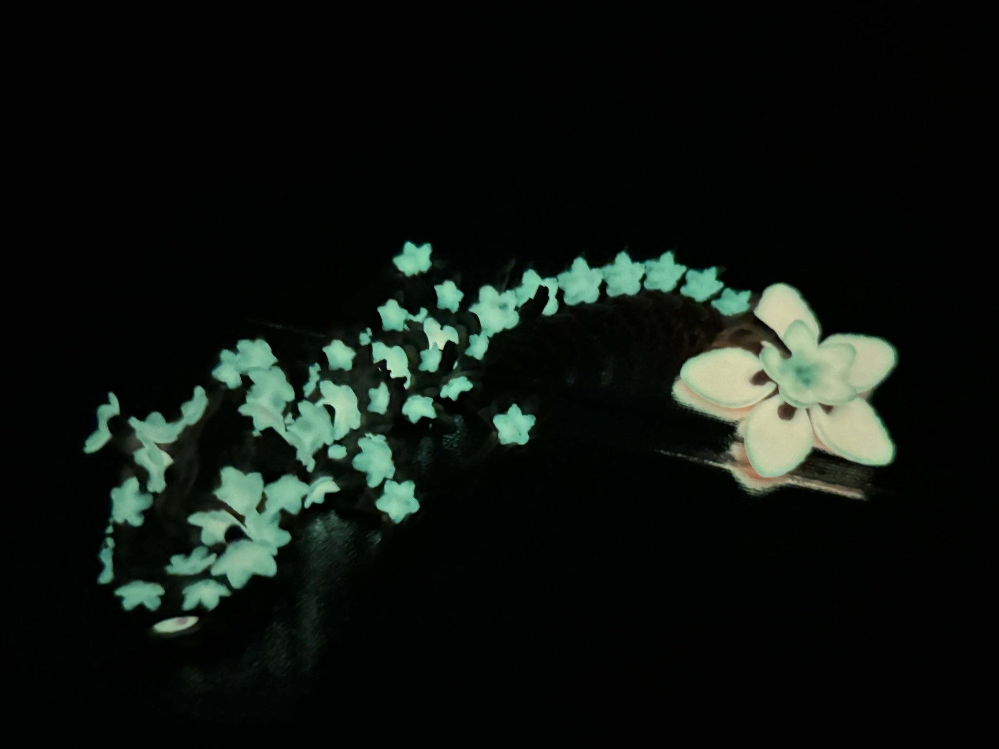 Baby Orchid Dragon Cinderwing Wood PLA Glow Dark 3D printed