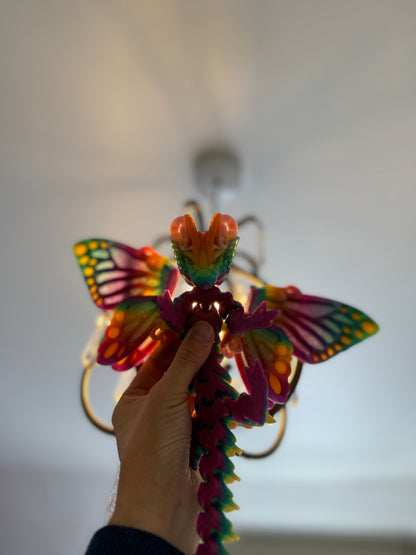 Butterfly Dragon with Matching Egg Storage Container