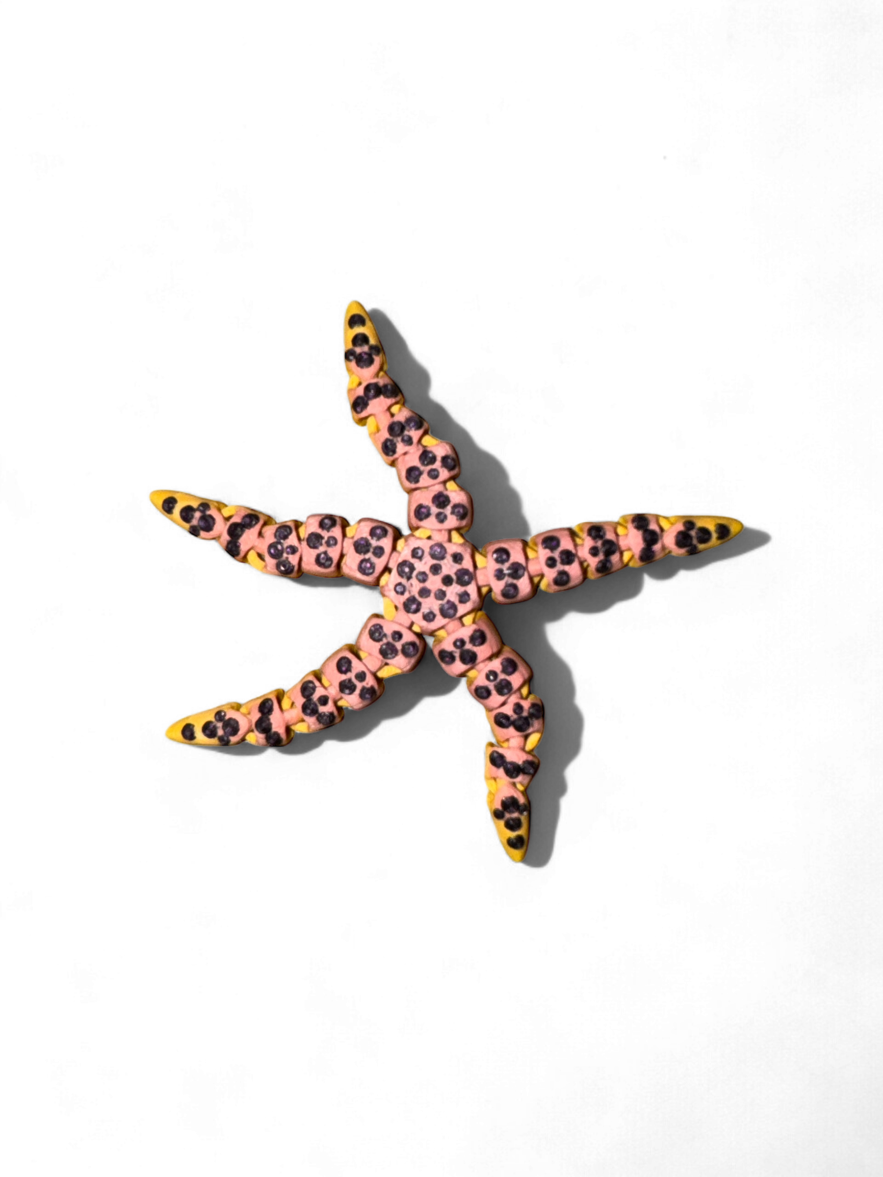 starfish fidget with nobs fidget toy articulated 3d-printed in ireland