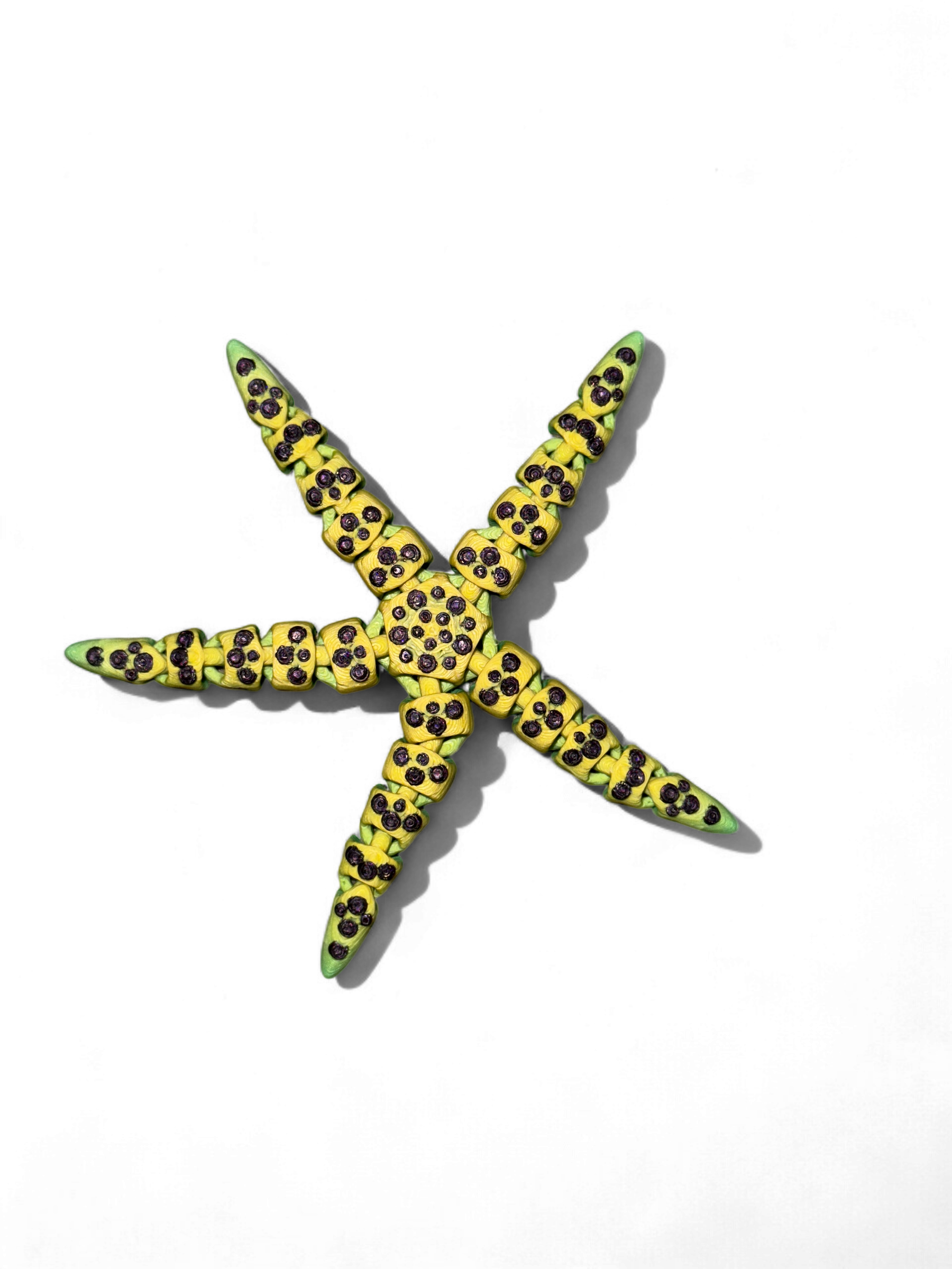 starfish fidget with nobs fidget toy articulated 3d-printed in ireland