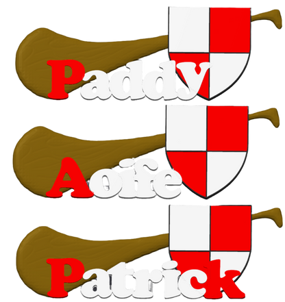 hurling herly in county team colours with personalized name and coloured shield, has cut-outs to mount on wall or door, can stand up freely blue white brown wood Cork Red Rebels football camogie