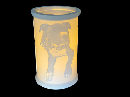 Personalised Lithophane Memorial Urn, for pets and people, 3D-printed to order, cute cat dog pictures, custom loved ones pictures