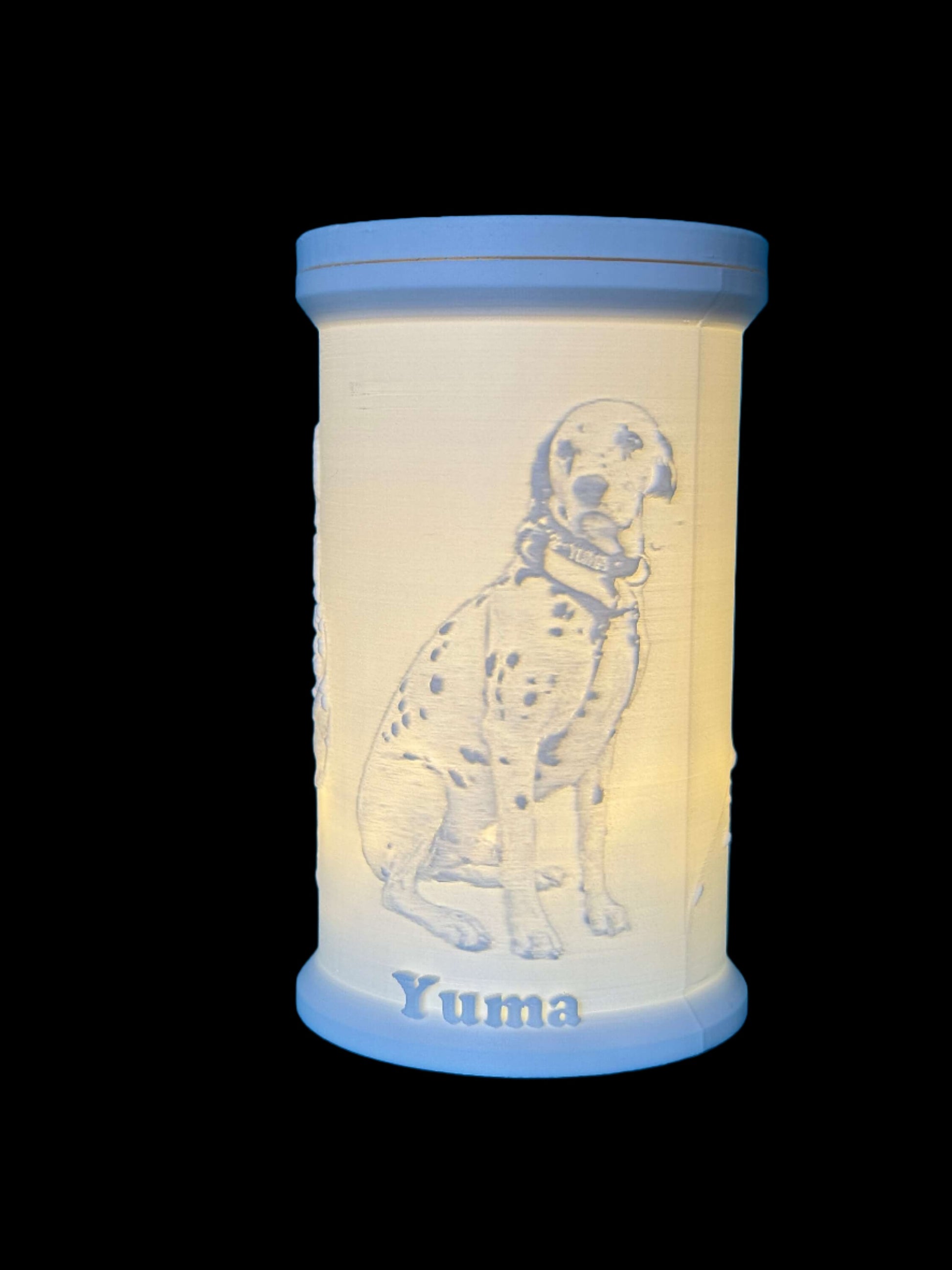 Personalised Lithophane Memorial Urn, for pets and people, 3D-printed to order, cute cat dog pictures, custom loved ones pictures lamp personalized 3d picture with lid cover save ashes safely