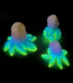 tiny octopus