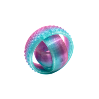 Astronomer's Ring Fidget